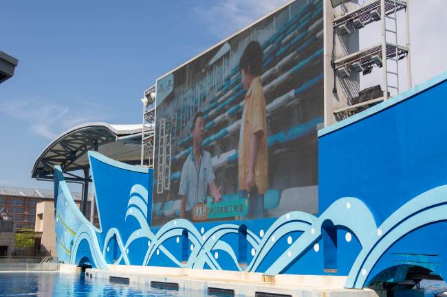 一条数字好意思东说念主鱼，奈何焕活上海海洋文化？